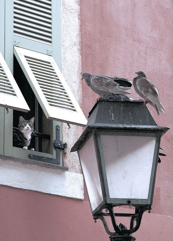 法式壁垒的崩塌之夜,苏亚雷斯6分钟闪击,皇家社会为悬念拉下帷幕