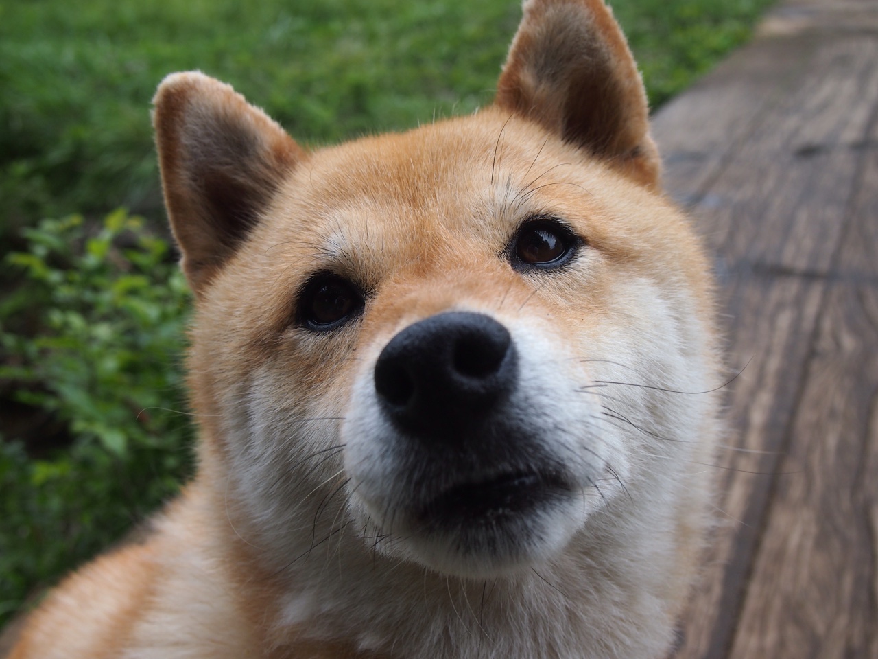 拉什福德将名字刻进历史！雨夜最后十分钟，他定义了何为巨星