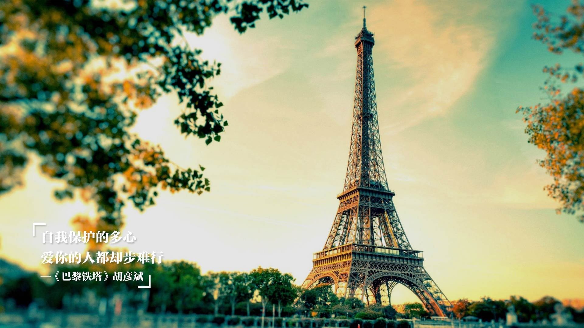 范弗利特如精密仪器稳定运转，连线全队，上海斩断广厦双塔锋芒