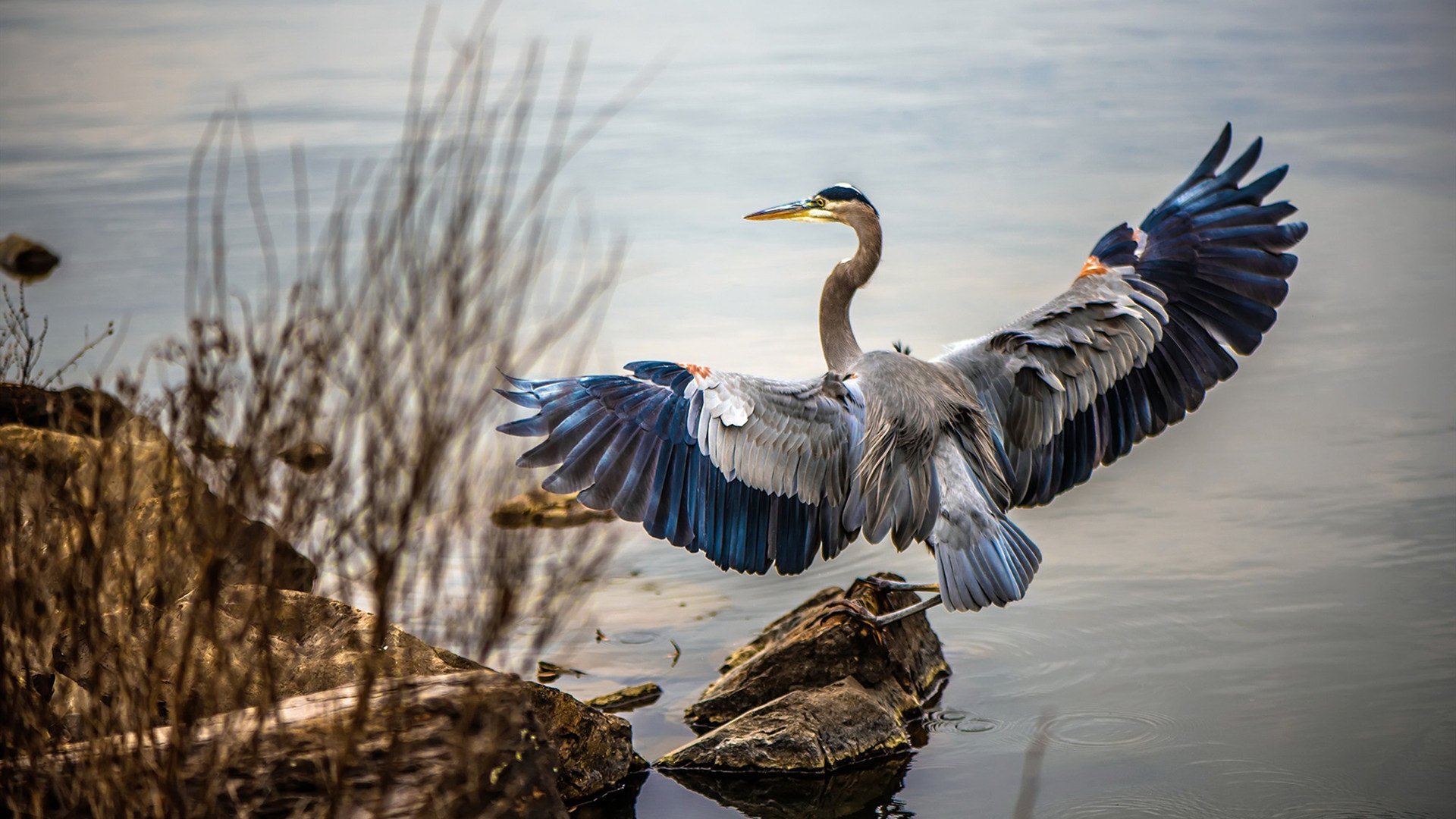 当哈登用巨星钥匙开启胜利时，爵士却用团队密码锁死了凯尔特人—两种带走比赛的哲学碰撞
