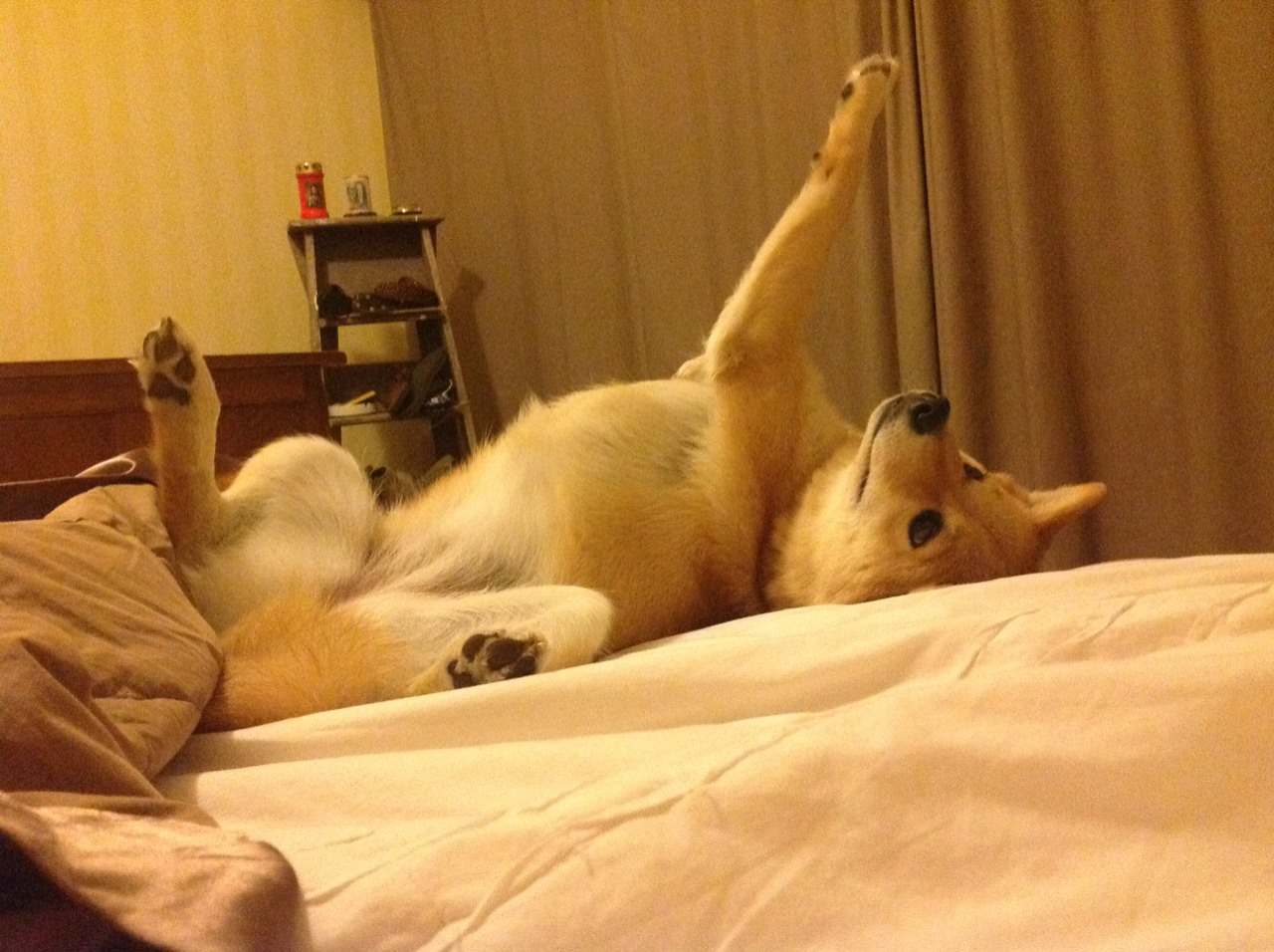 巴斯托尼一锤定音！国际米兰那不勒斯巅峰对决锁定波兰出线权