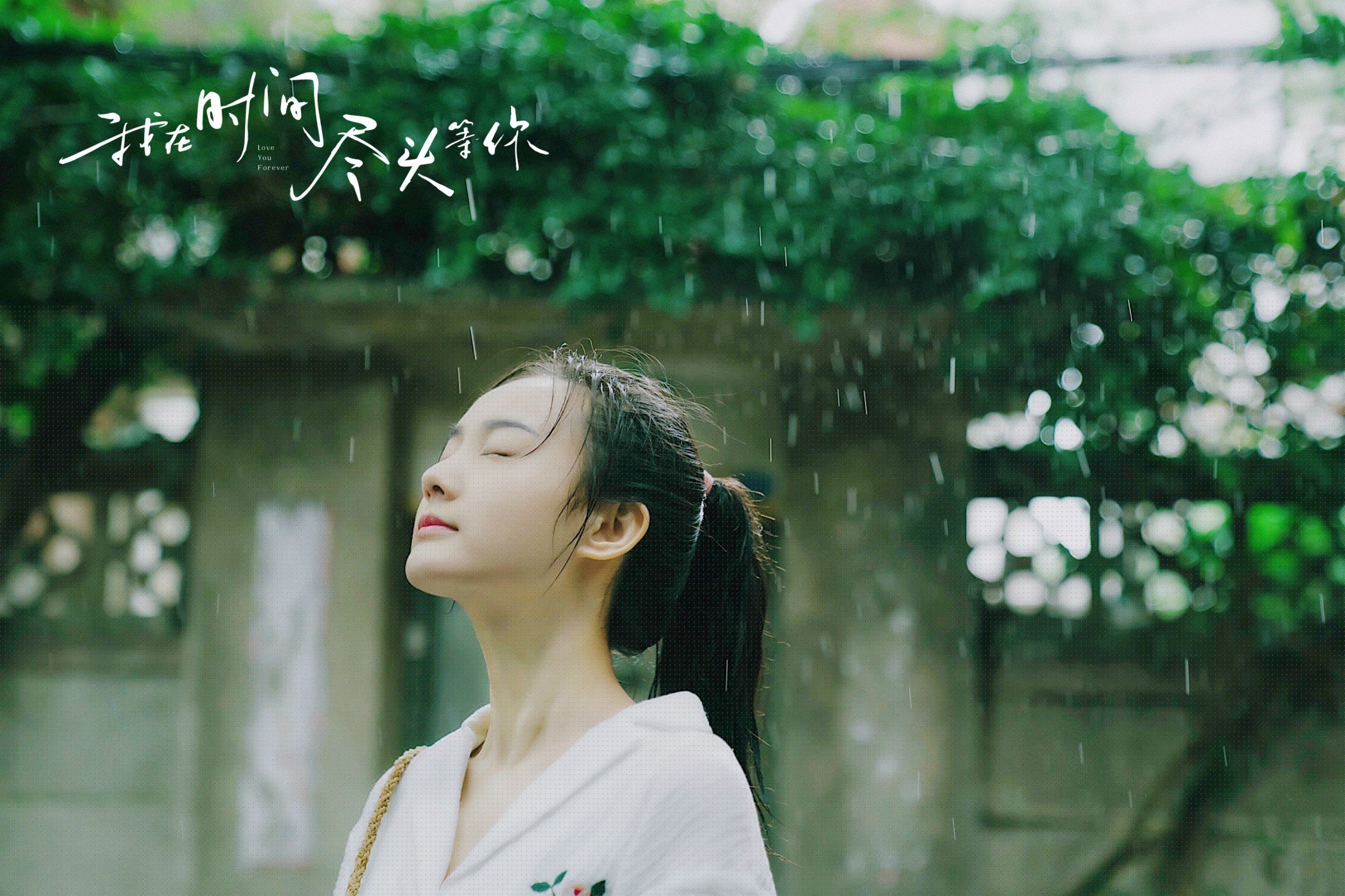 当冰封猛龙撞上道家之刃，欧文如何用一场比赛证明唯一性