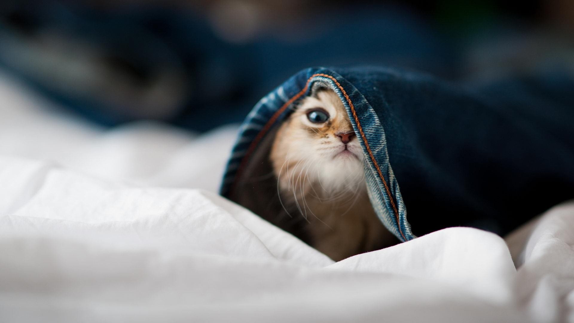 门将的审判日，欧冠窒息之夜，奥纳纳用双手完成自我救赎