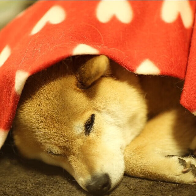 黄色潜水艇惊涛骇浪，阿拉巴一箭定江山！