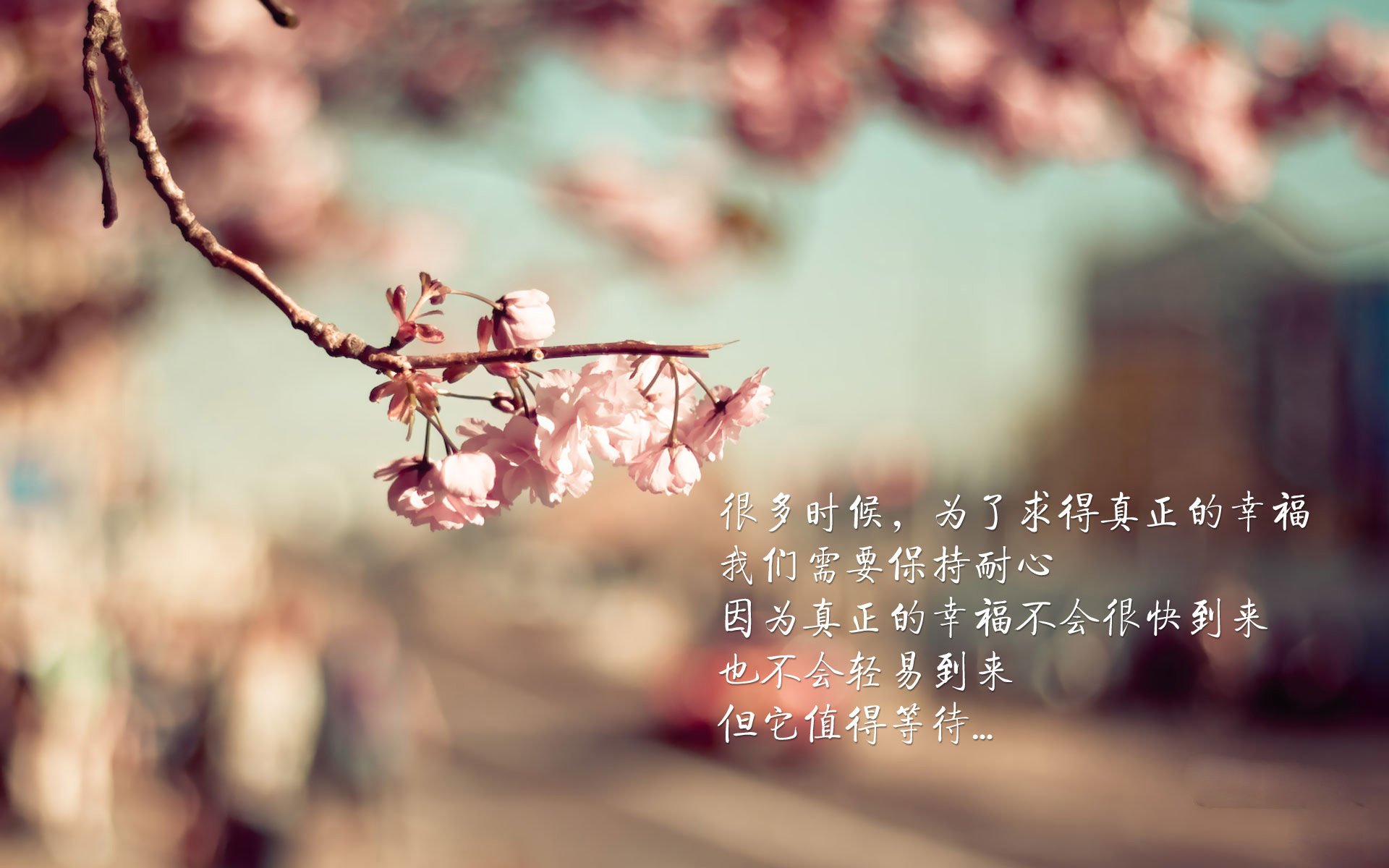 冰封与燎原，骑士铁血防守下的博弈，莫兰特撕裂质疑的烈焰独舞