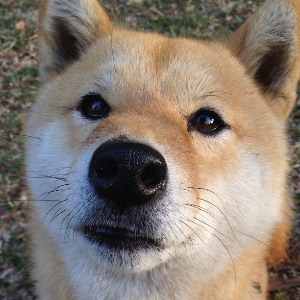 黑色浪潮，开拓者第三节卷走胜利，贝恩化身终结者击溃广东防线
