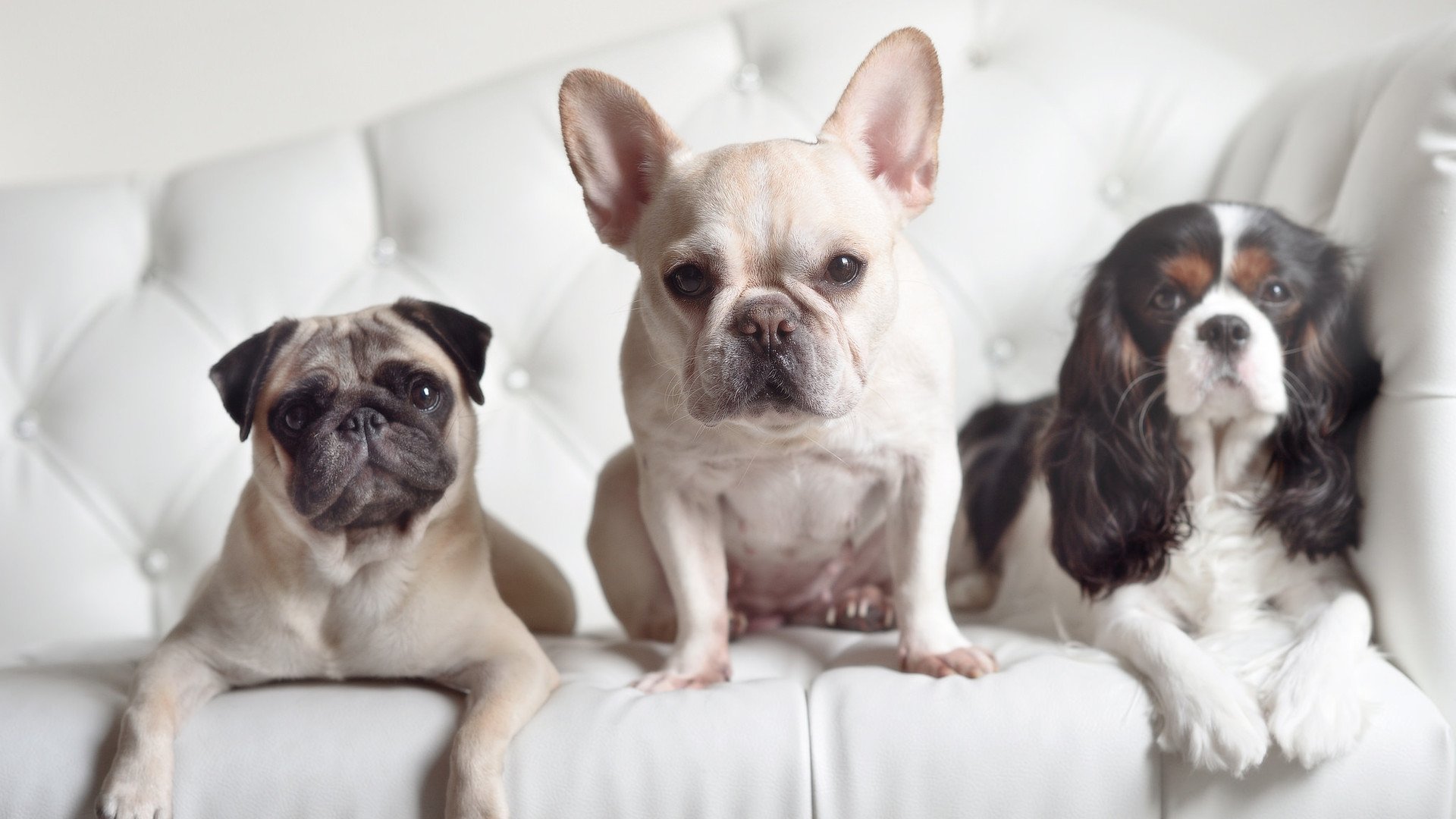 时空错位，当库里的东决传奇撞上骑士制霸快船