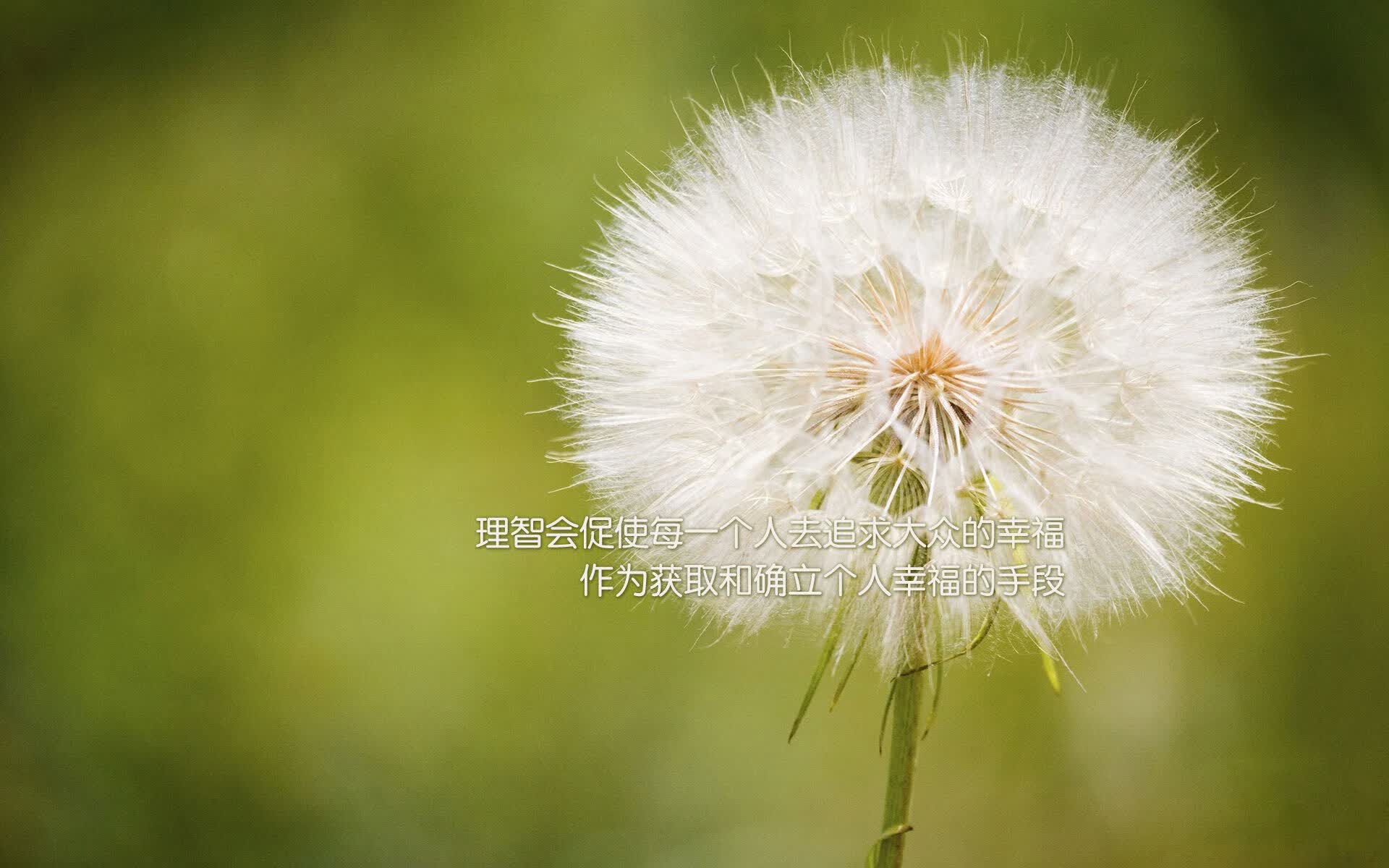 北欧风暴席卷西亚绿洲，佩德里上帝视角助攻，丹麦用一场科技流胜利定义B组唯一答案