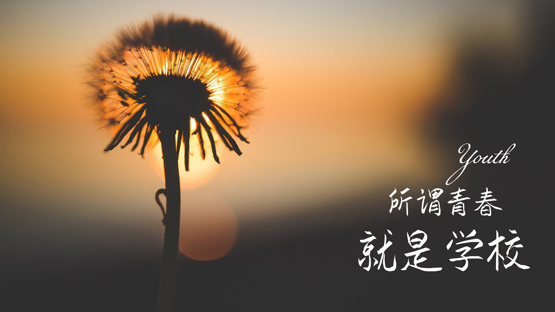 冰与火之歌,2026世界杯揭幕战,捷克铁骑踏碎北欧神话,库尔图瓦化身最后一道光